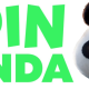 Spin Panda